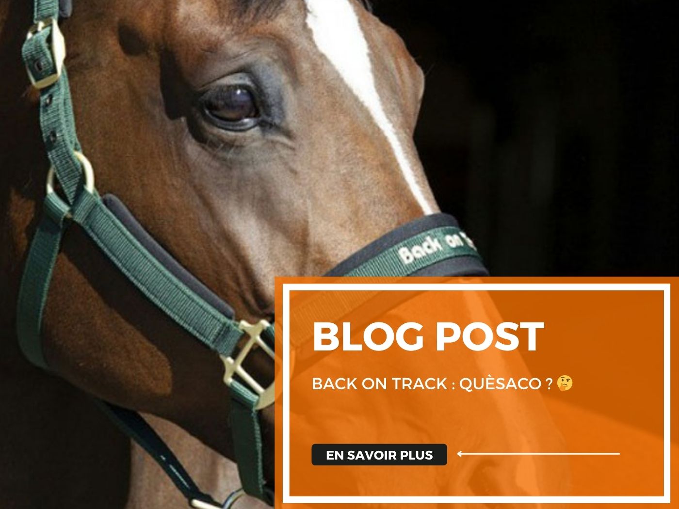 Back On Track : Quèsaco ?