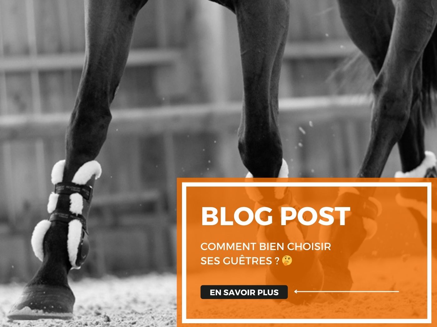 Comment bien choisir ses guêtres ? 🤔