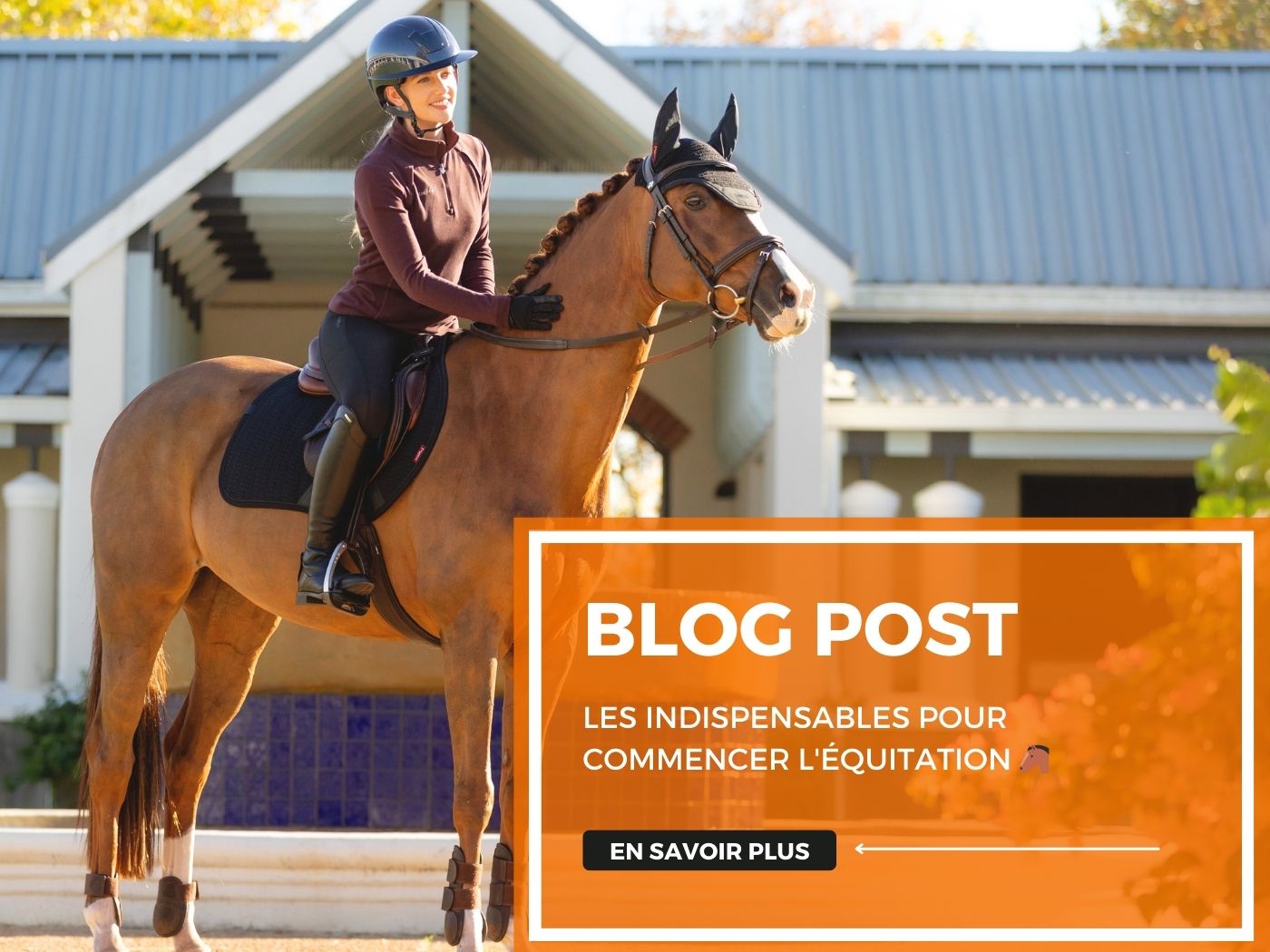 Les indispensables pour commencer l'équitation 🐴