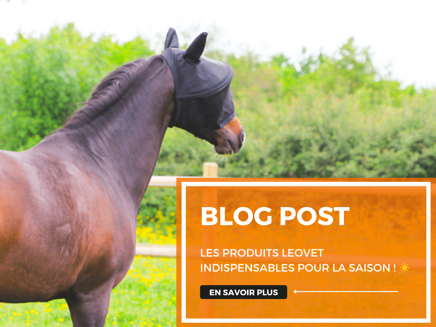 Les produits Leovet indispensables pour la saison ! âïž