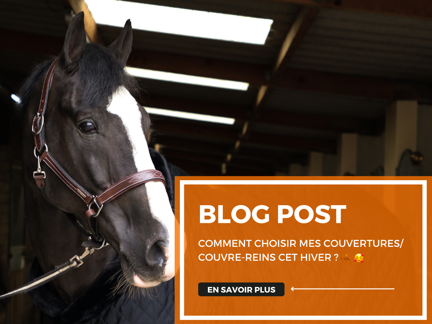 Comment choisir mes couvertures/ couvre-reins cet hiver ? đ„°đ