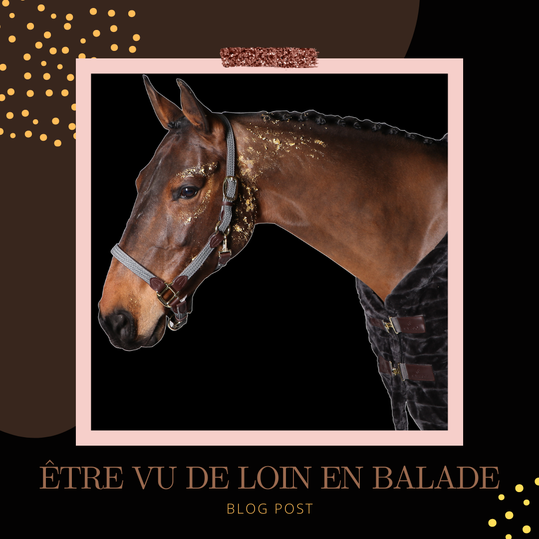 ÊTRE VU DANS LA NUIT ! 🌓