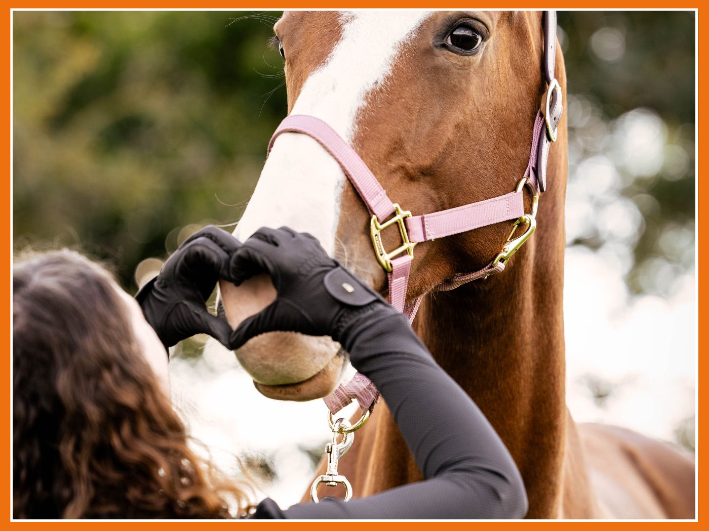 D'un Amour grandit une relation sincère 💕