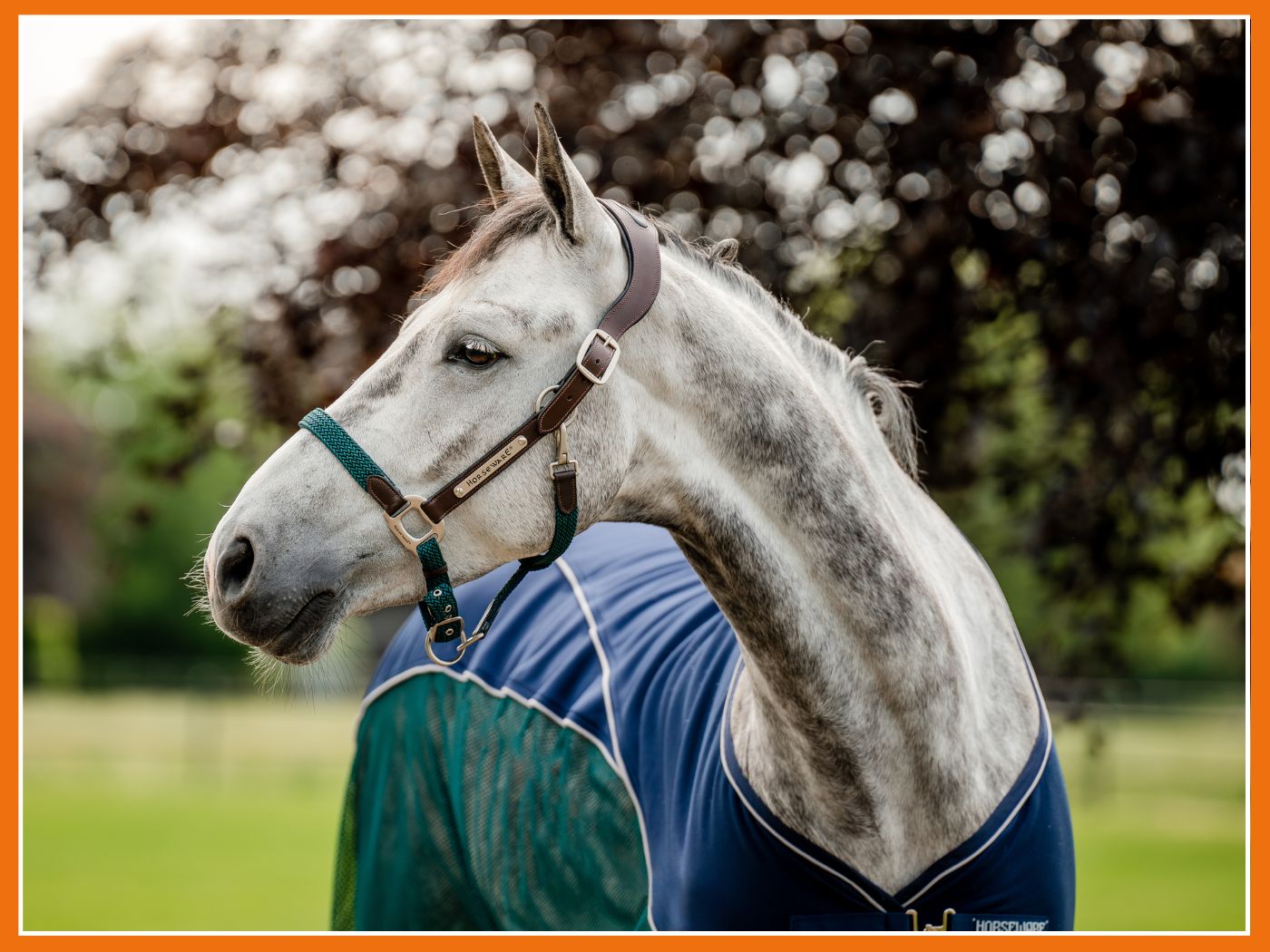 Mon cheval toujours propre, même en hiver ? C'est possible !