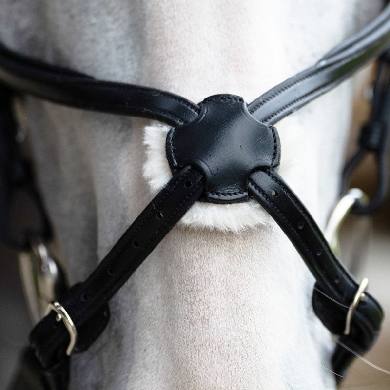 Jump'In - Muserolle croisée Evolution noir