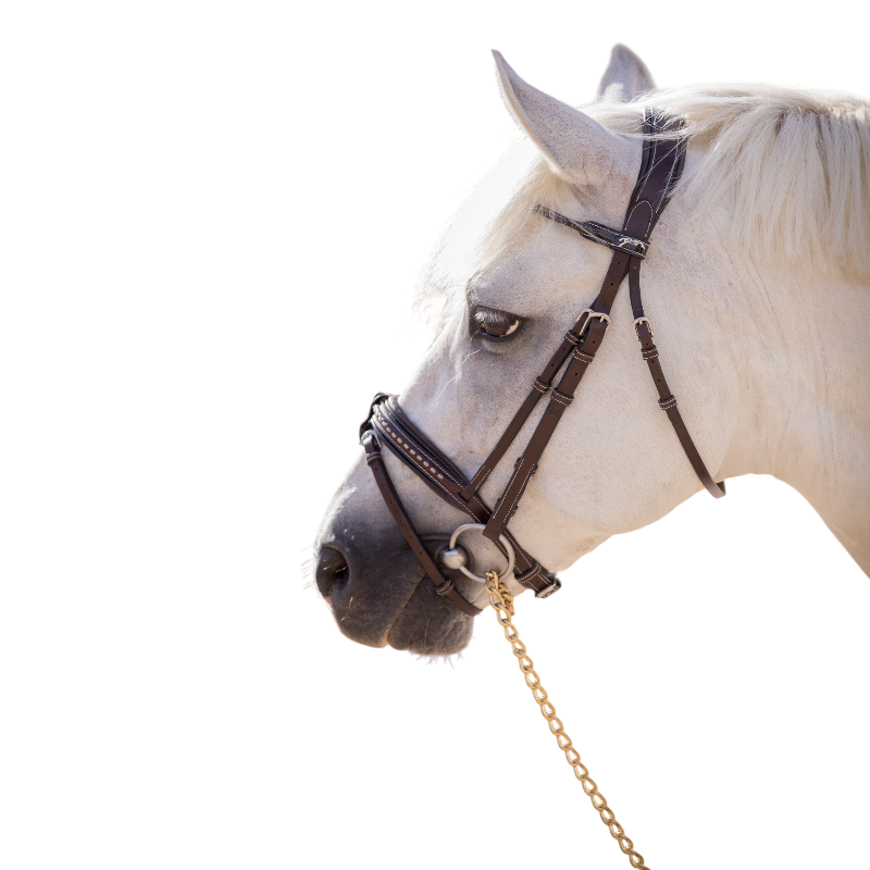 Eden by Pénélope - Bridon Eden avec rênes havane | - Ohlala