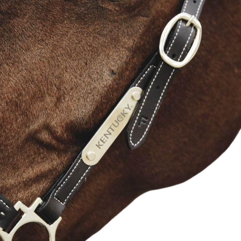 Kentucky Horsewear - Plaque pour licol | - Ohlala