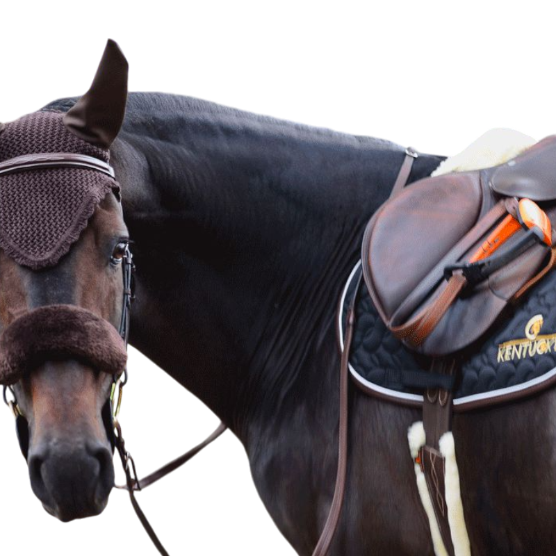 Kentucky Horsewear - Fourreau de muserolle marron | - Ohlala