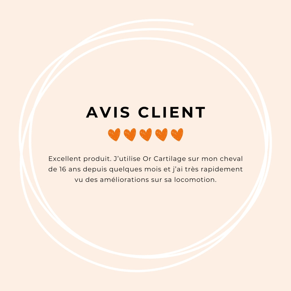OR VET - Complément alimentaire locomotion articulaire et cartilagineux Cartilage | - Ohlala