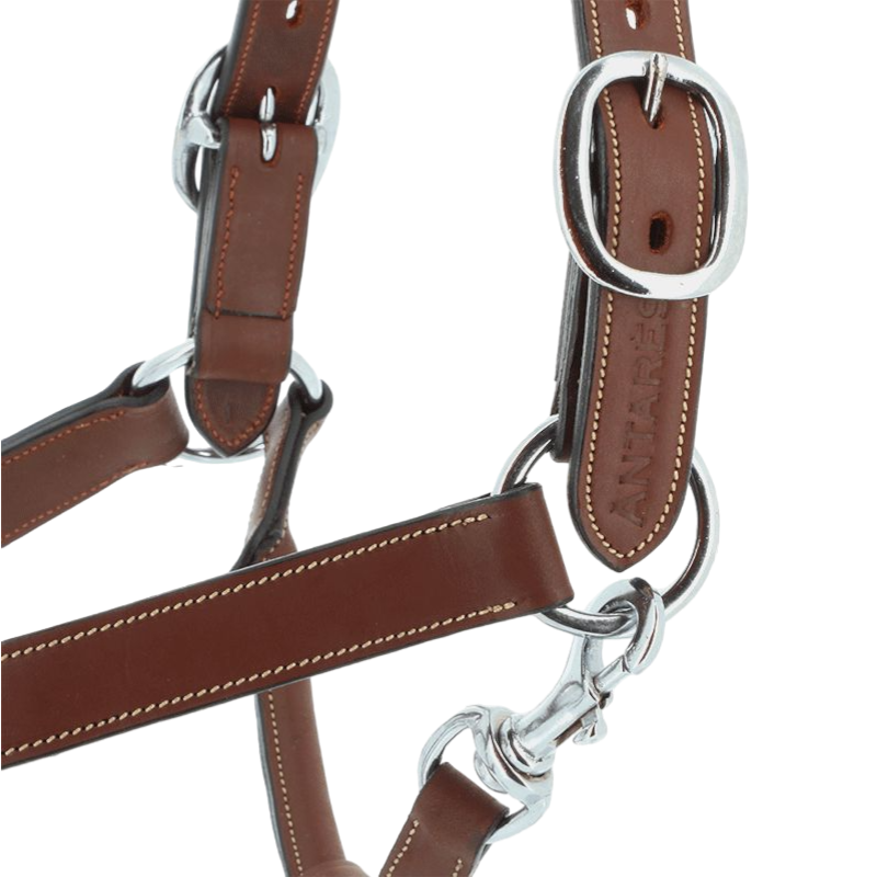 Antarès Sellier - Licol doublé cuir marron | - Ohlala