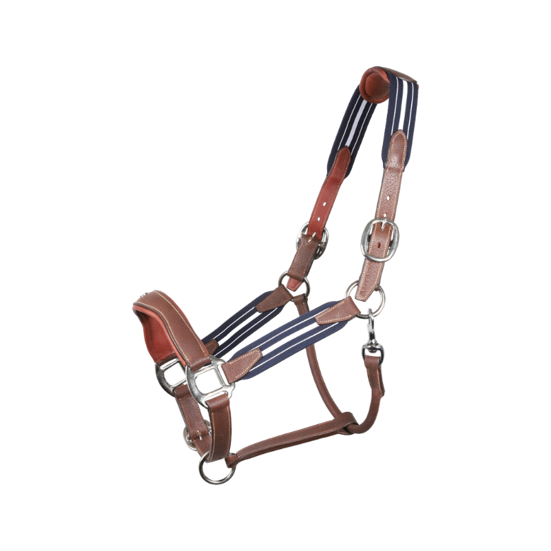 Antarès Sellier - Licol en cuir Stressless grainé havane / marine | - Ohlala