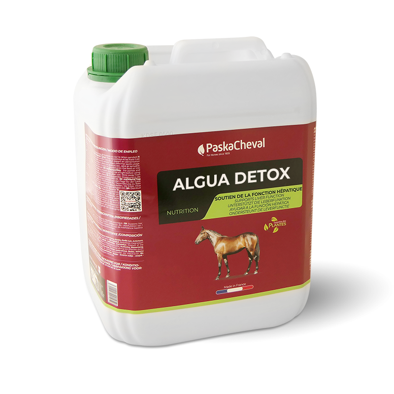 Paskacheval - Complément alimentaire drainant Algua Detox | - Ohlala