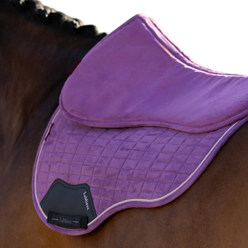 LeMieux - Amortisseur Suede mallow | - Ohlala