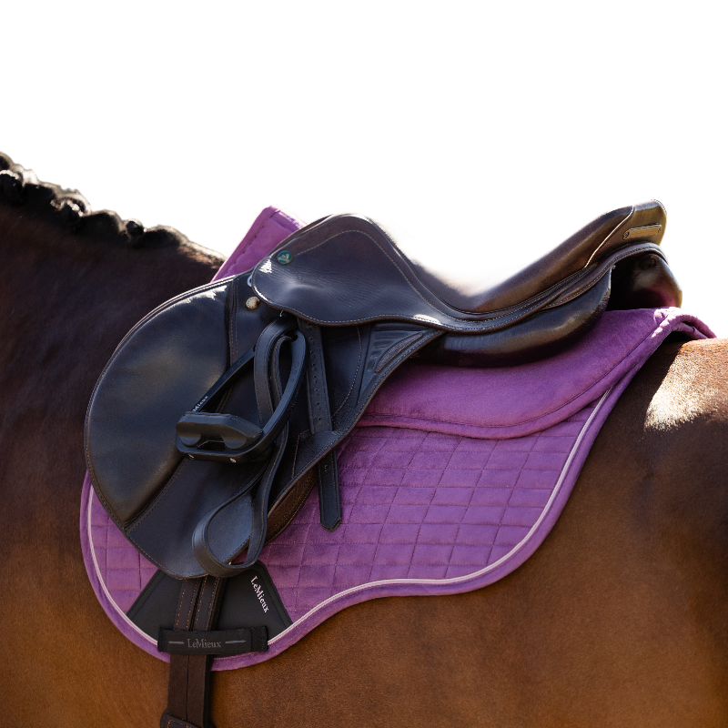 LeMieux - Amortisseur Suede mallow | - Ohlala