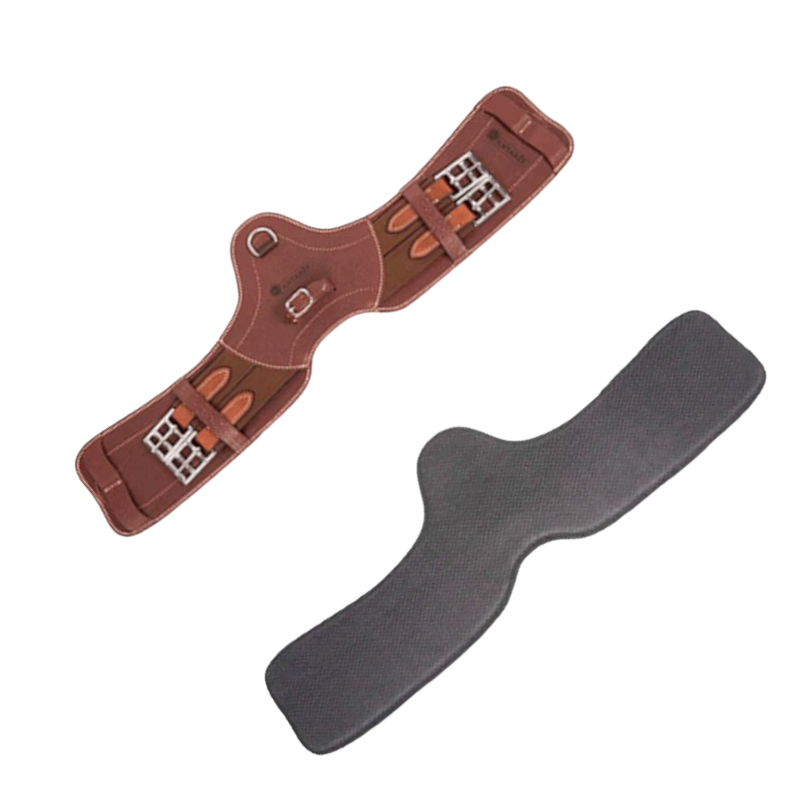 Antarès Sellier - Sangle Signature anatomique courte tabacco et doublure | - Ohlala