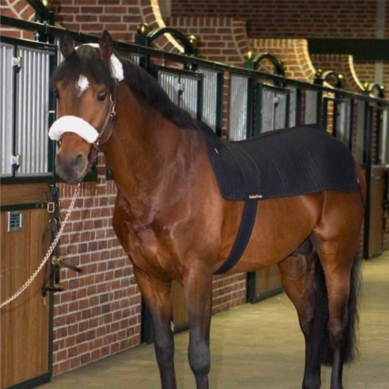 Back On Track - Chauffe-dos Back Warmer Royal | - Ohlala