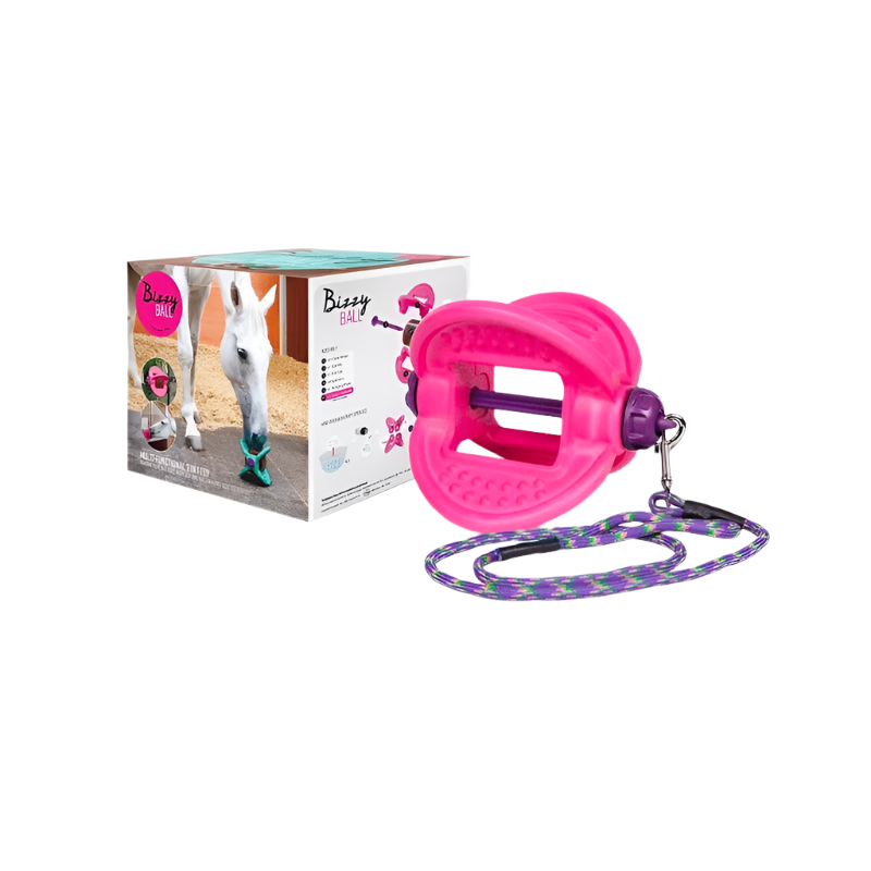 Bizzy Horse - Support de pierre divertissant Bizzy Ball fuschia | - Ohlala