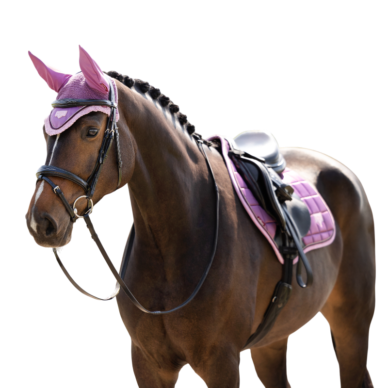 LeMieux - Bonnet pour chevaux Loire mallow | - Ohlala