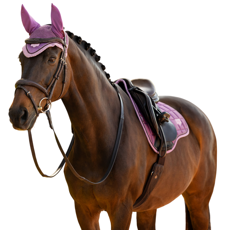 LeMieux - Bonnet pour chevaux Loire mallow | - Ohlala