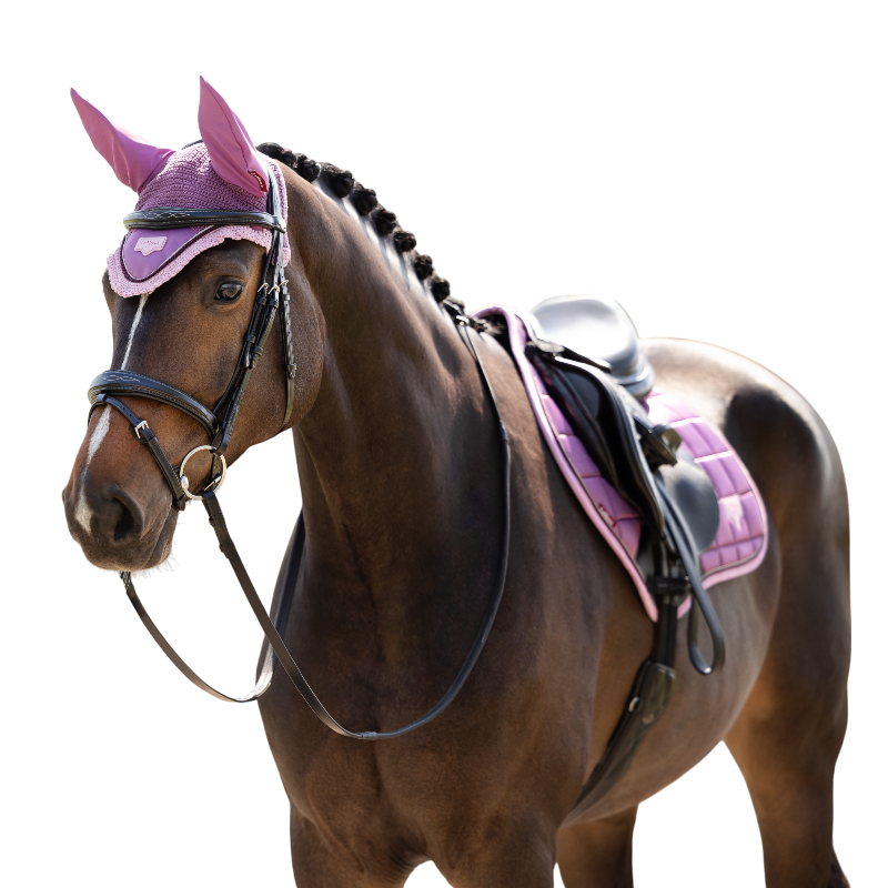 LeMieux - Bonnet pour chevaux Loire mallow | - Ohlala