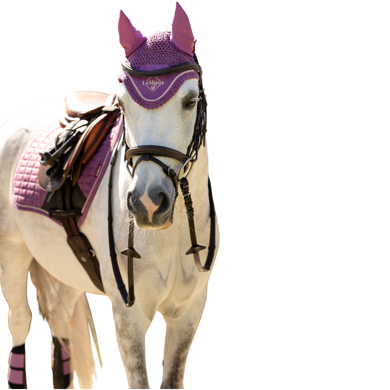 LeMieux - Bonnet pour chevaux Mini Classic mallow | - Ohlala