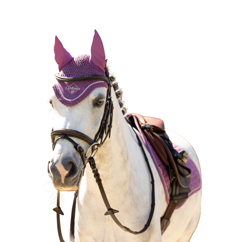 LeMieux - Bonnet pour chevaux Mini Classic mallow | - Ohlala