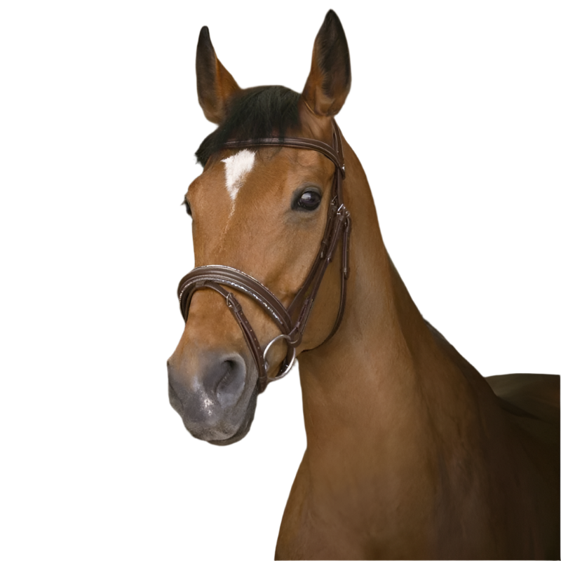 Norton - Bridon rock havane | - Ohlala