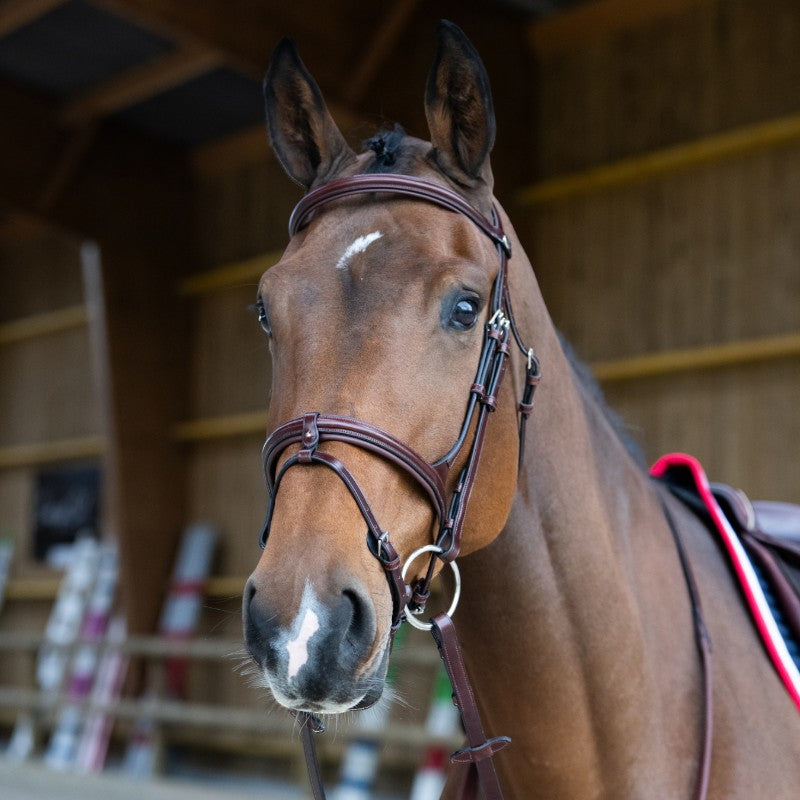 Jump'In - Bridon muserolle combinée Evolution noisette