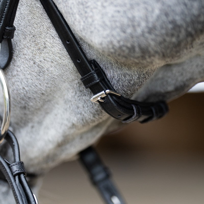 Jump'In - Bridon muserolle croisée Evolution noir