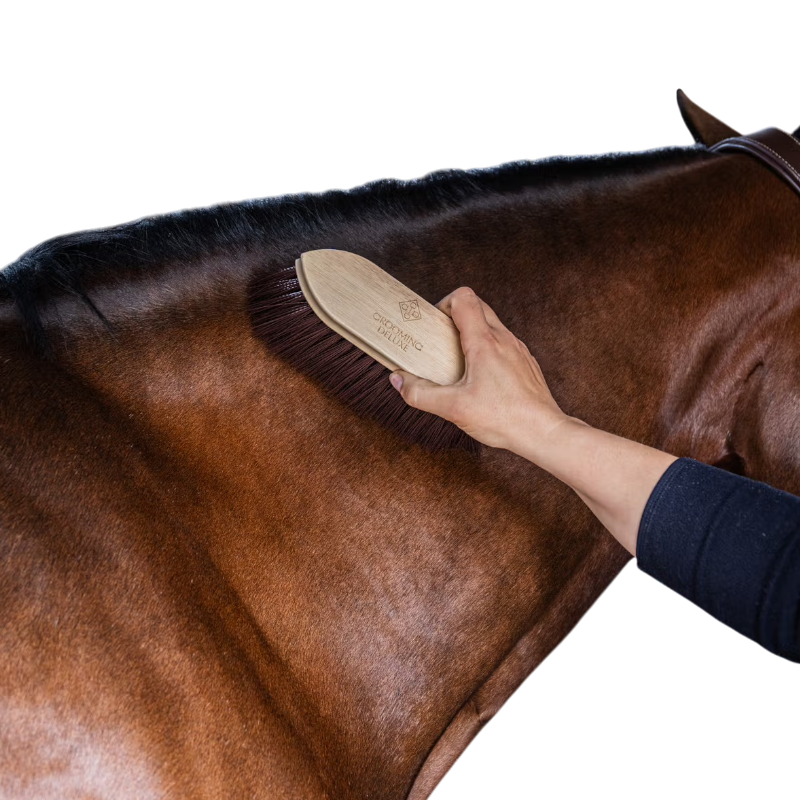 Grooming Deluxe - Brosse douce en bois à poils long marron