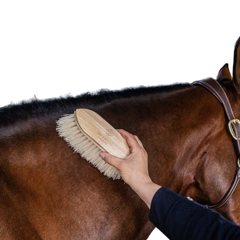 Grooming Deluxe - Brosse douce en bois à poils long naturel