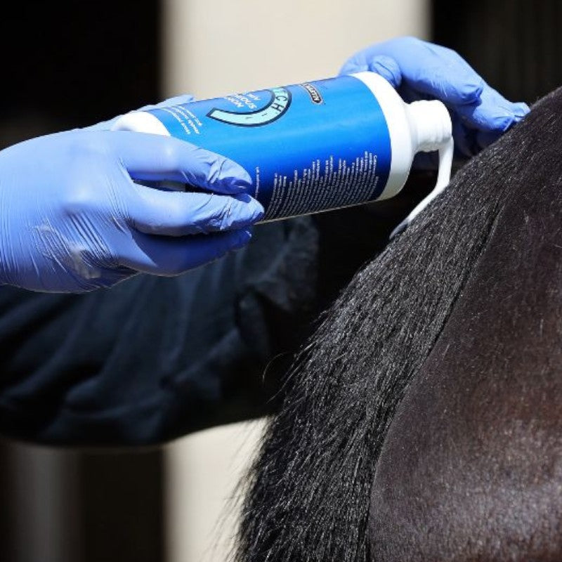 Carr & Day & Martin - Lotion Killitch dermite estivale | - Ohlala