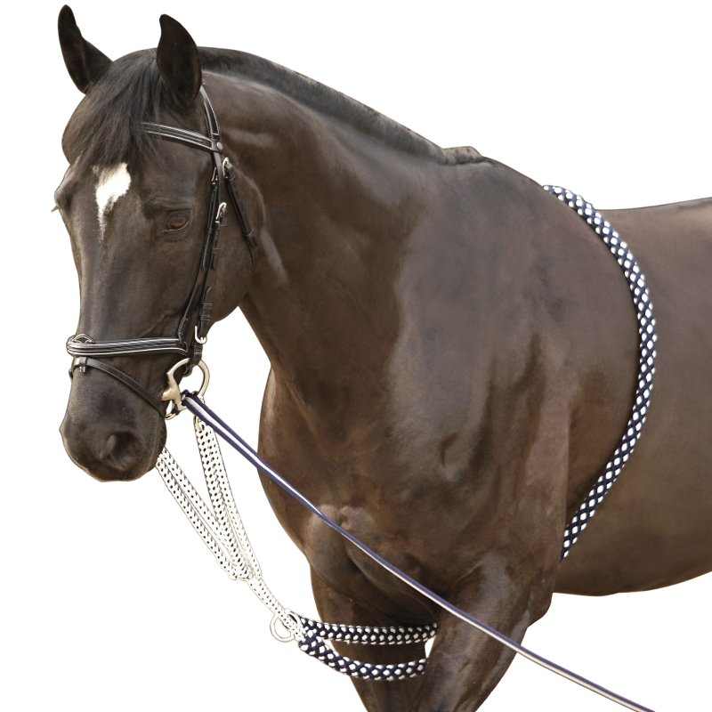 Canter - Enrênement Soft Ride | - Ohlala