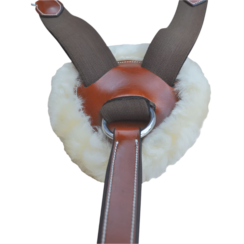 Lexington - Collier De Chasse 5 Points | - Ohlala