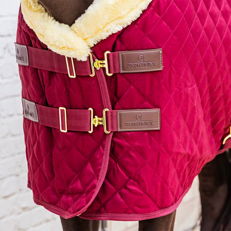 Kentucky Horsewear - Couverture de présentation bordeaux 160g