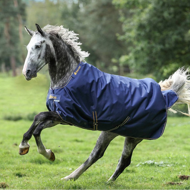 Bucas - Couverture d'extérieur Irish Turnout 300 marine/ gold 300g