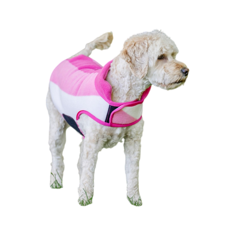 Horseware - Couverture pour chien Newmarket witney pink | - Ohlala