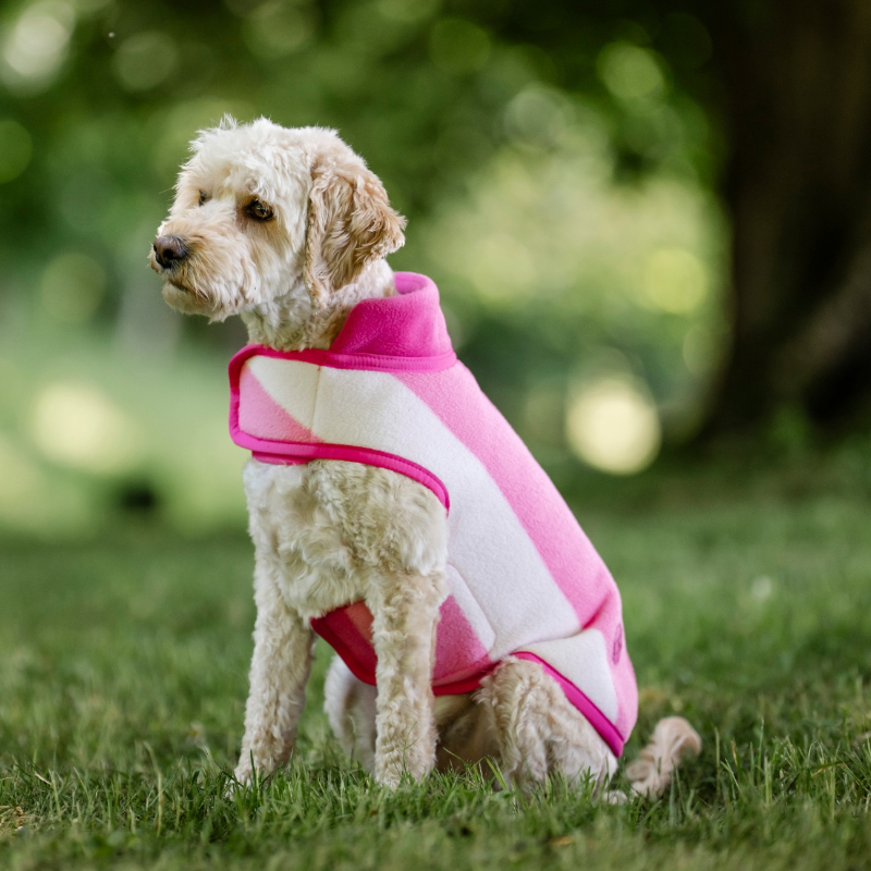 Horseware - Couverture pour chien Newmarket witney pink | - Ohlala