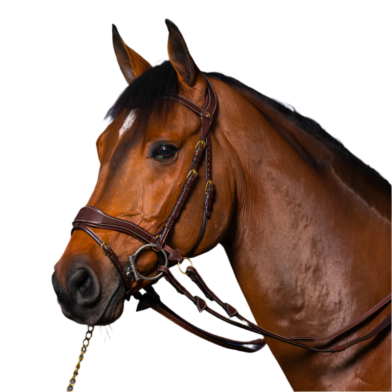 Dyon - Bridon D Motion D Collection têtière anatomique havane | - Ohlala