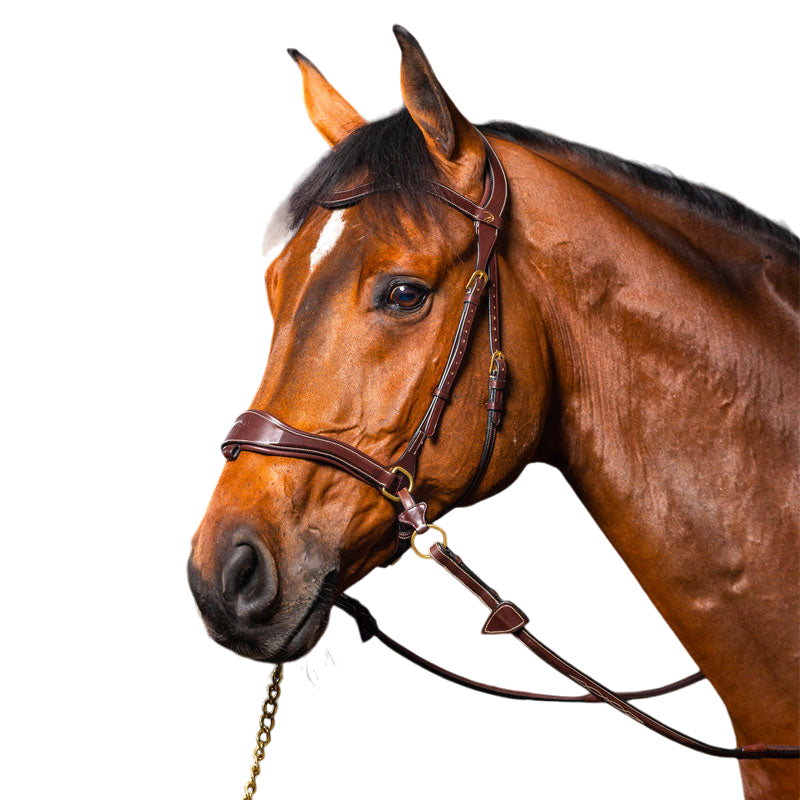 Dyon - Bridon D Motion D Collection têtière anatomique havane | - Ohlala