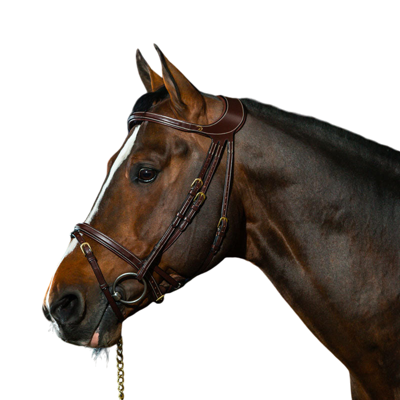 Dyon - Bridon Différence D Collection havane | - Ohlala