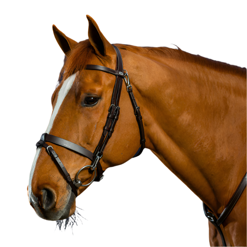 Dyon - Bridon cuir plat avec mousquetons Working by Dyon havane | - Ohlala