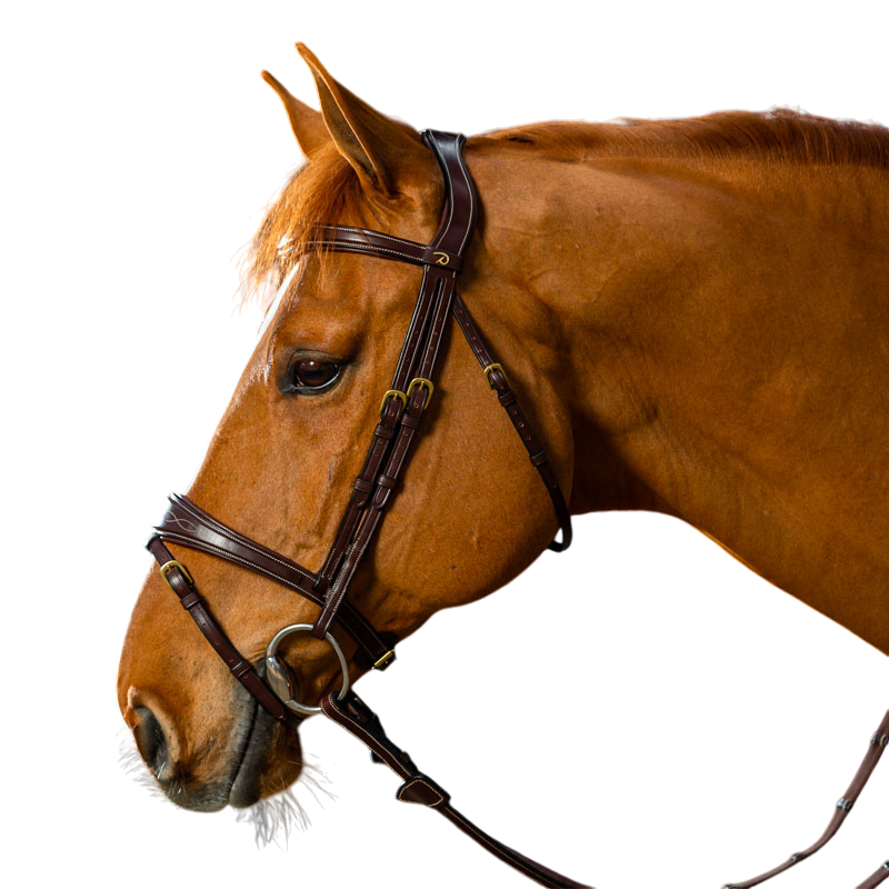 Dyon - Bridon muserolle combinée anatomique D Collection noir | - Ohlala