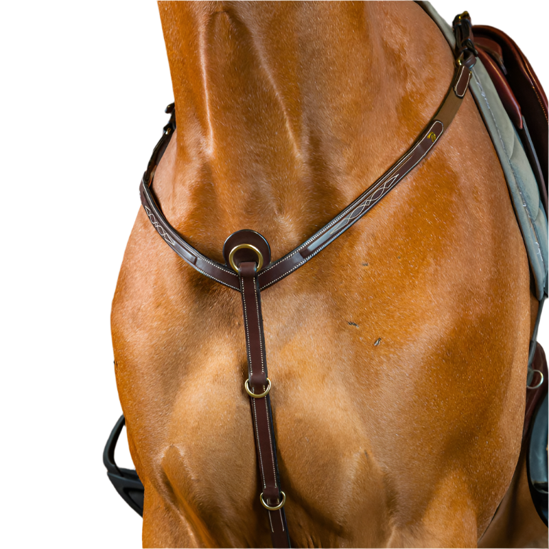 Dyon - Collier de chasse D Collection brun | - Ohlala