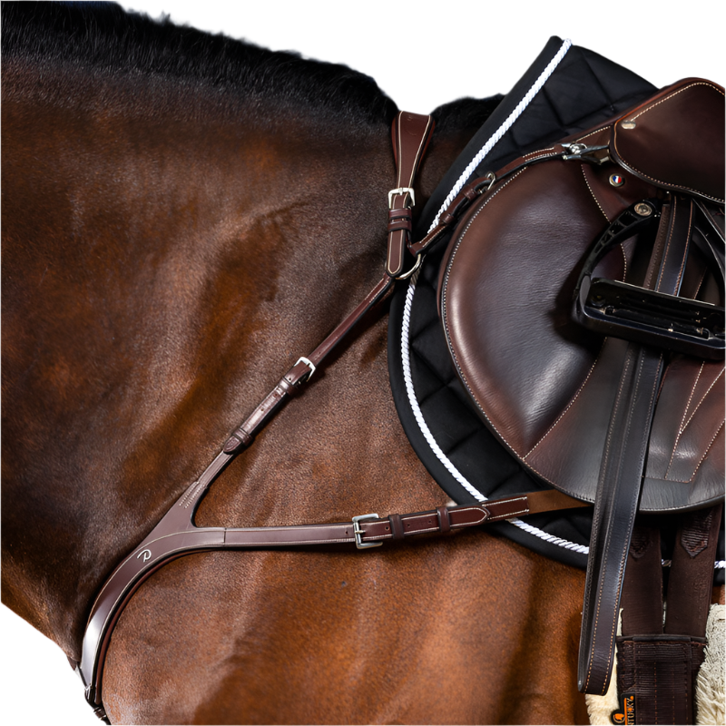 Dyon - Collier de chasse anatomique US Collection brun | - Ohlala