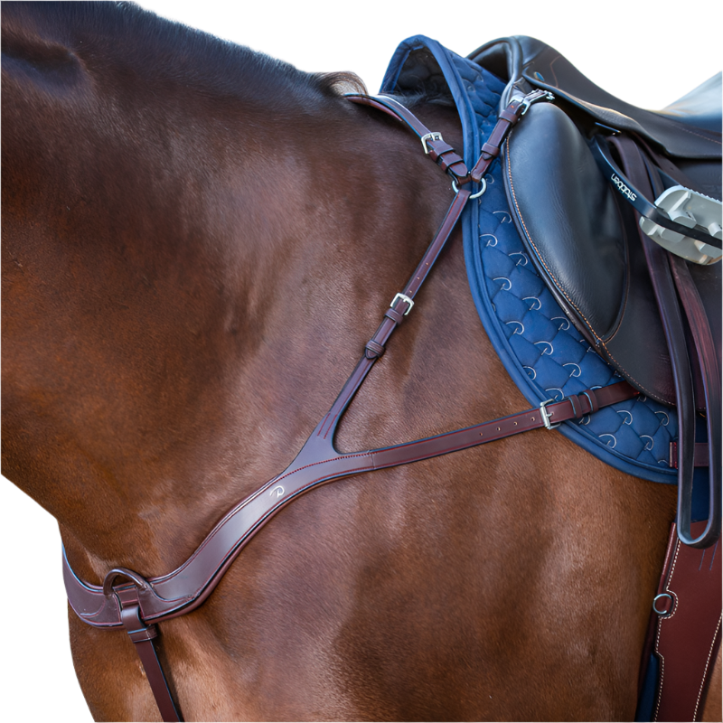 Dyon - Collier de chasse anatomique New English Collection brun | - Ohlala