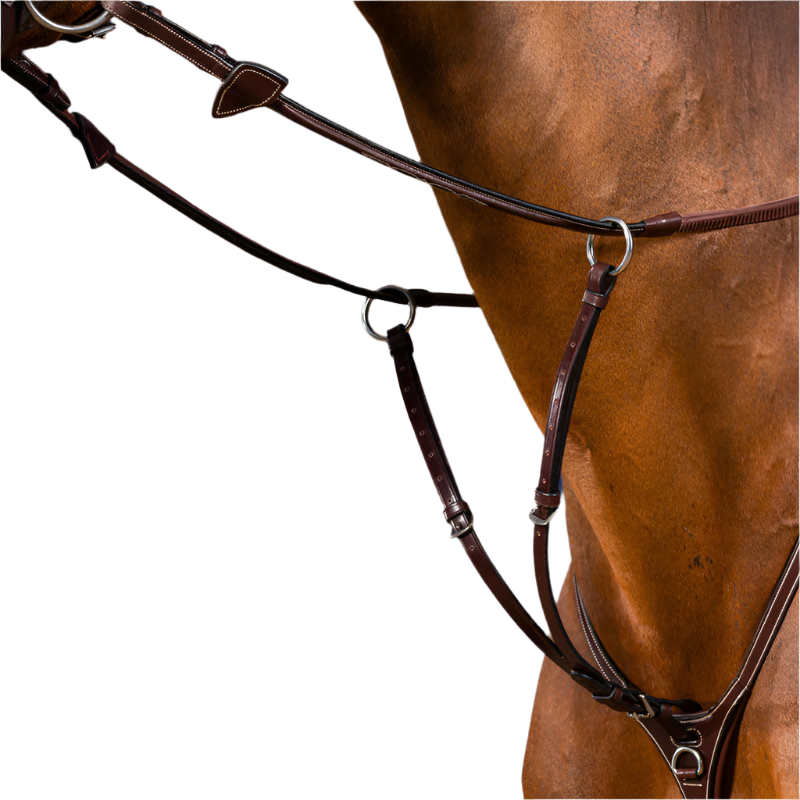 Dyon - Fourchette de martingale à anneaux US Collection brun | - Ohlala