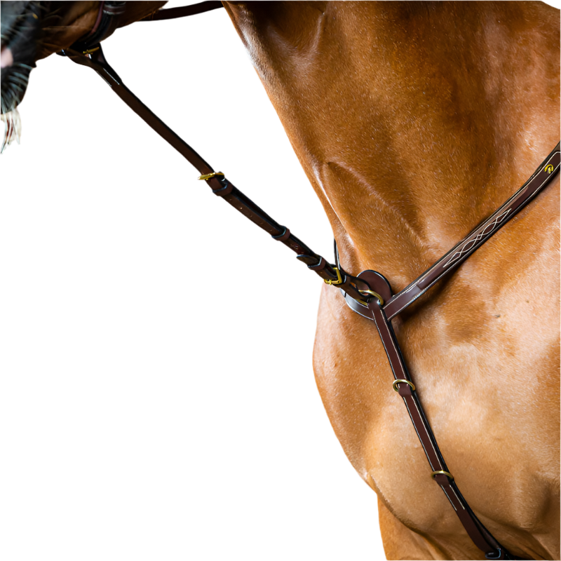 Dyon - Fourchette de martingale fixe D Collection brun | - Ohlala