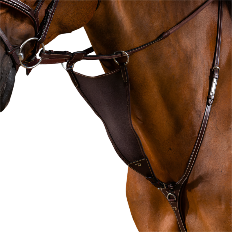 Dyon - Fourchette de martingale pleine élastique US Collection brun | - Ohlala