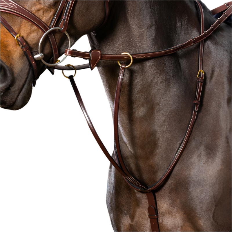 Dyon - Martingale à anneaux D Collection brun | - Ohlala